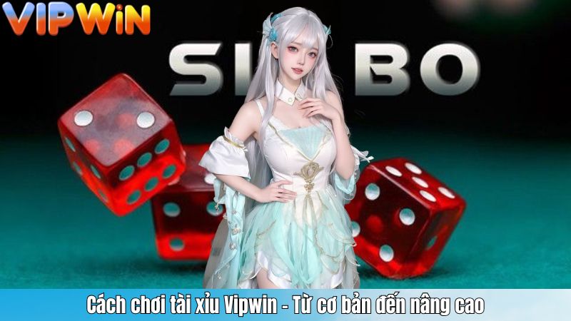 Cách chơi tài xỉu Vipwin – Từ cơ bản đến nâng cao