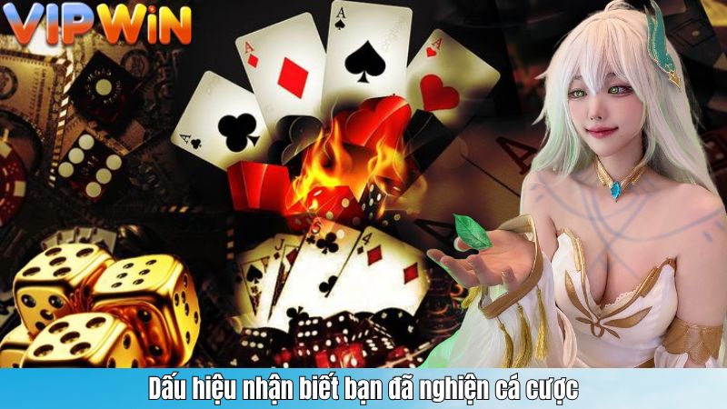 Dấu hiệu nhận biết bạn đã nghiện cá cược