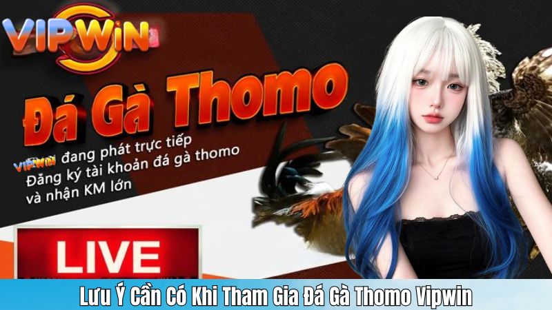 Lưu Ý Cần Có Khi Tham Gia Đá Gà Thomo Vipwin