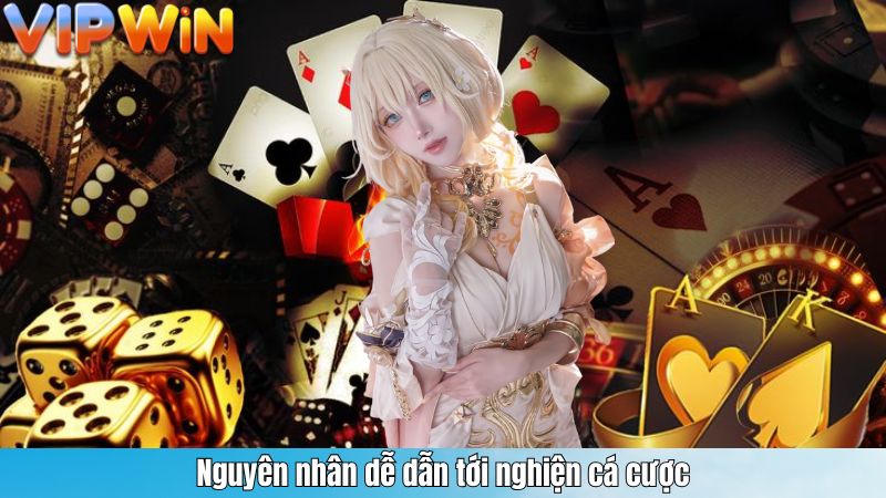 Nguyên nhân dễ dẫn tới nghiện cá cược