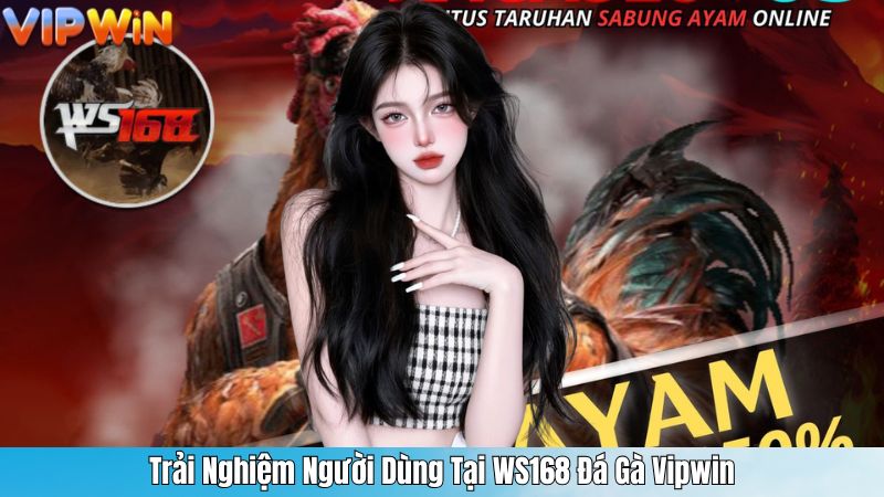Trải Nghiệm Người Dùng Tại WS168 Đá Gà Vipwin