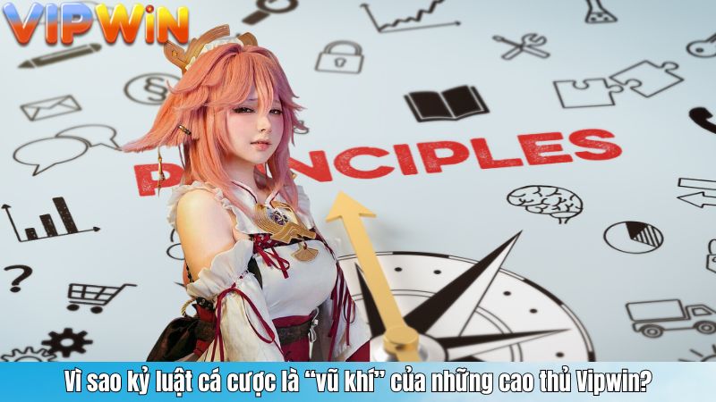 Vì sao kỷ luật cá cược là “vũ khí” của những cao thủ Vipwin?