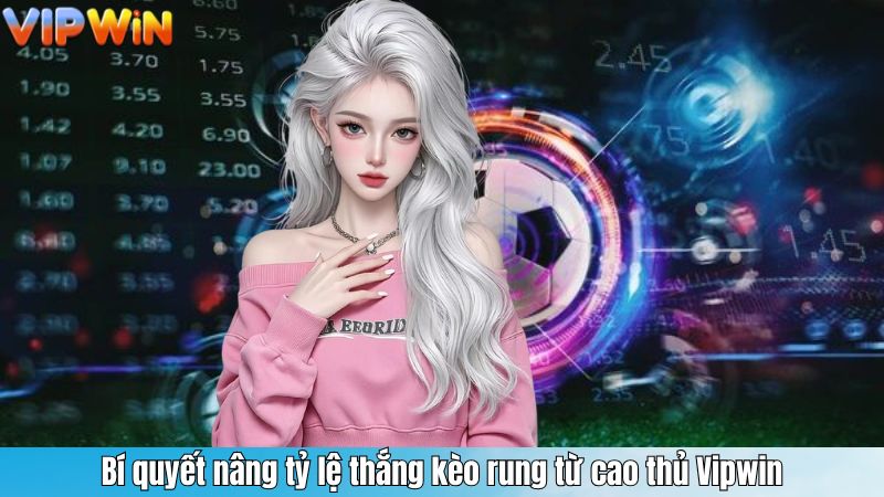 Bí quyết nâng tỷ lệ thắng kèo rung từ cao thủ Vipwin