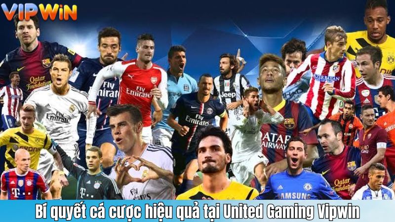 Bí quyết cá cược hiệu quả tại United Gaming Vipwin